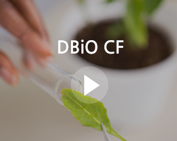 DBiO CF